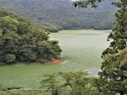 Ƃ񂳂̑RrERr̓eʐ^1