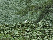 Ƃ񂳂̑RrERr̓eʐ^3