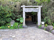 ��������̎u�ˎq�K�W���}�������̓��e�ʐ^1