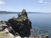 g{C_[̕xÕٓV̓eʐ^1