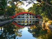 }bN̔iZgЂ̑ۋj̓eʐ^16