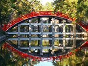 }bN̔iZgЂ̑ۋj̓eʐ^3