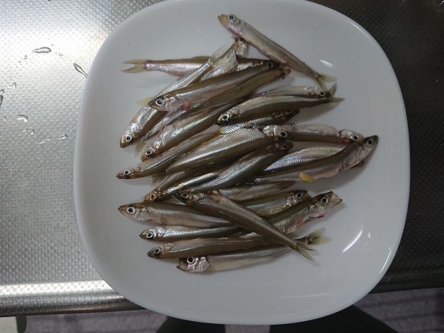 l7Ԃ̒މʂ27CB_tBbVOvUۈꑑ