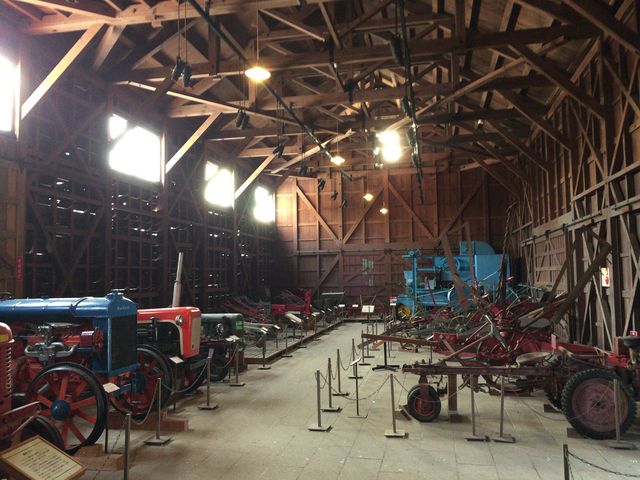 �������W���Q�l�Q�B_�k�C���J��̑�