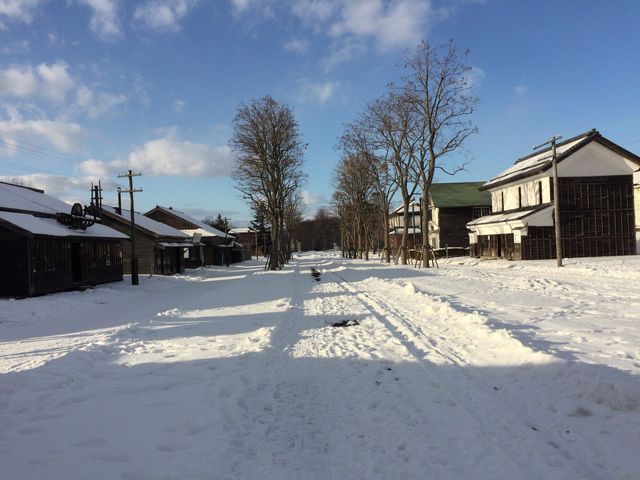 �����Q�l�B_�k�C���J��̑�