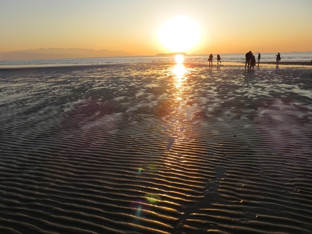 �i�F_���ꃖ�l