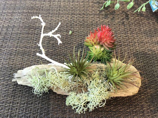 ���S�҂̕v�̍�i�ł��B_�N�v���A�Ԃ͔��΂�