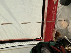 �����爷���񂳂�̍f���΁i�̌��ό��j�ւ̓��e�ʐ^1