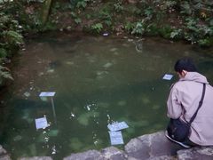 八重垣神社はオススメ 八重垣神社の口コミ じゃらんnet