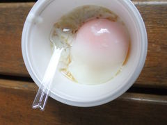 ݂񂳂̑ÃKXւ̓eʐ^2