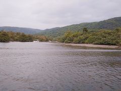 R~ꂳ̔dRόtF[ւ̓eʐ^1