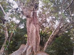 R~ꂳ̔dRόtF[ւ̓eʐ^2