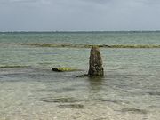 炳炳񂲂̃ndJTElԂ̓eʐ^2