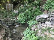 炳炳񂲂̎󐅑̓eʐ^1