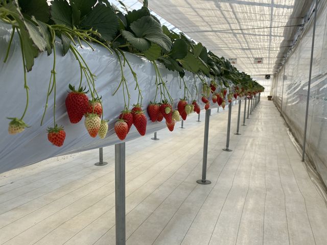 �喞���̂��������_�J�E�x����������