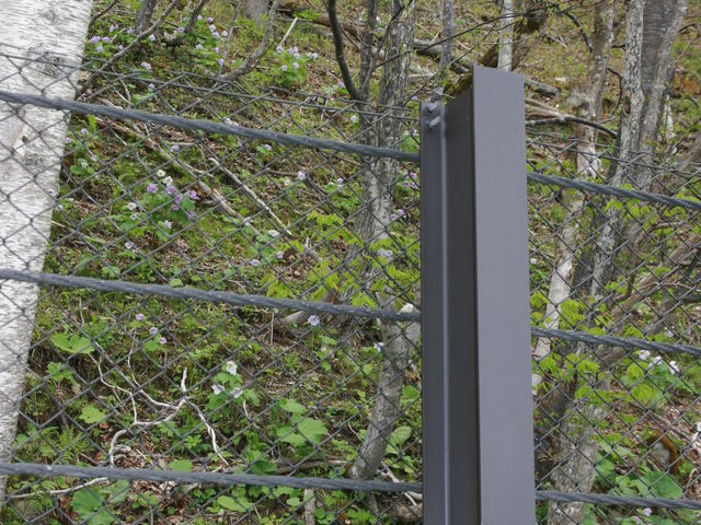 ���͋M�d�炵���ł�_�x┌�