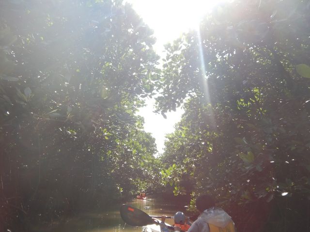 ���S�҂ł��ׂ����H�ɍs���܂����B_���΂�G�R�t�B�[���h�@����