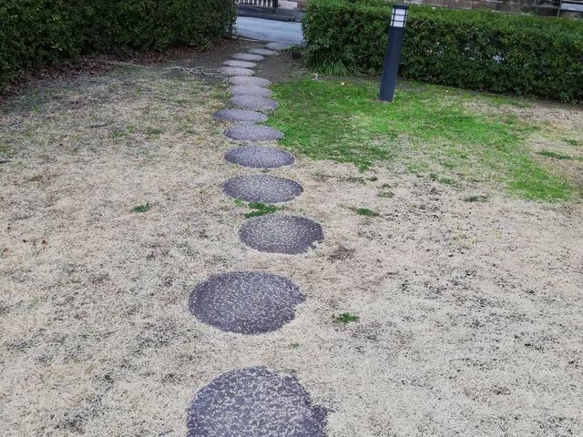 �������͋C�̊O���_�V�R�̓��@�Ȃ���������