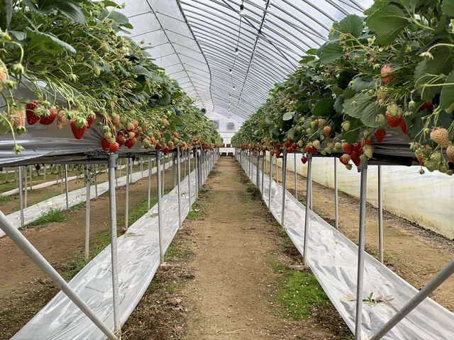 q̖ڂ̍ƊyĂ傤ȂƎv܂BlłELEL̂ŁB_уt@[ʔ