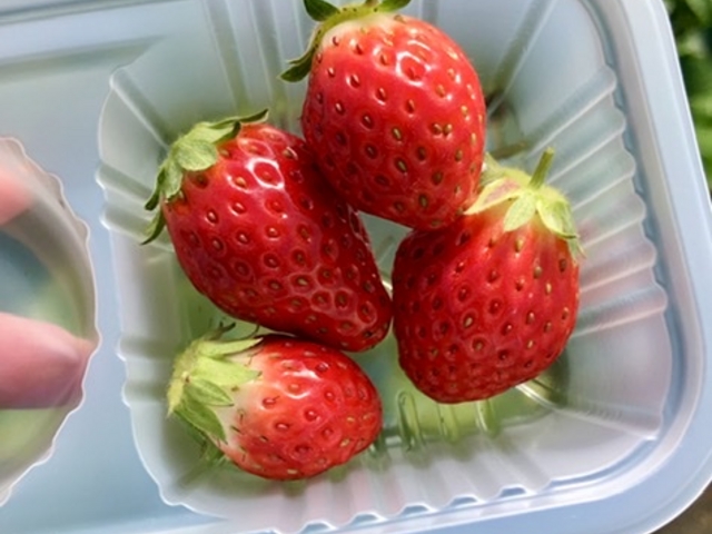 �����ŉ��炵���C�`�S�B_�����_��