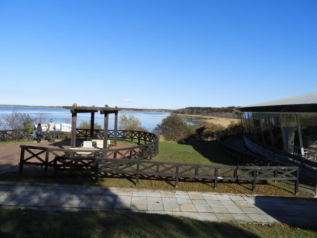 ���A�΂Ɠ��̉w_���@��