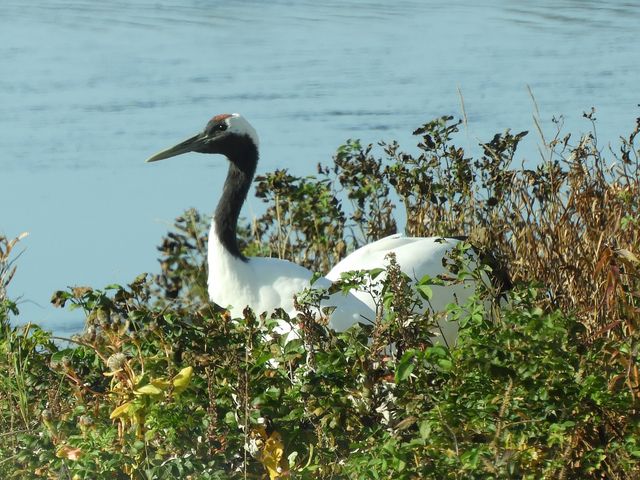 �^���`���E_���@��