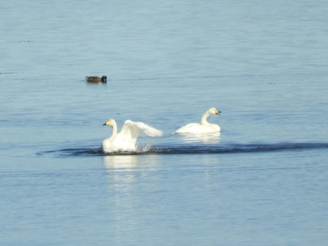 �I�I�n�N�`���E?_���@��