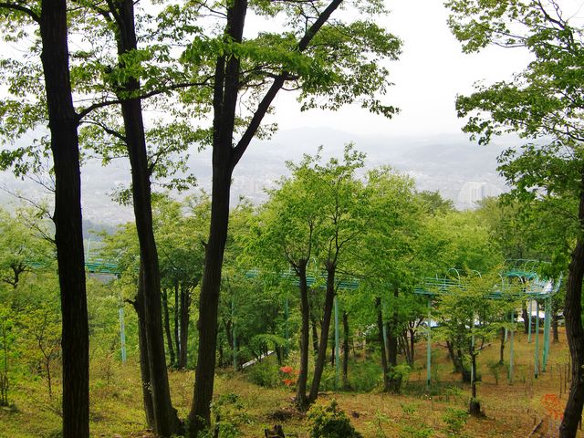 ؁X̊Ԃ𔲂銊_炵̋uW]