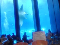 50̃Xm[{[h񂳂̂ւ̓eʐ^4