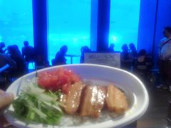 50̃Xm[{[h񂳂̂ւ̓eʐ^5