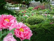 �傿��񂳂�̗������̃{�^���̓��e�ʐ^1