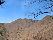 hijikigokȅqR̓eʐ^1