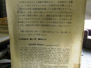 yula̍ʓ`H|ق̓eʐ^2