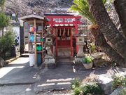 ����ς炳��̒��y���̓��e�ʐ^2