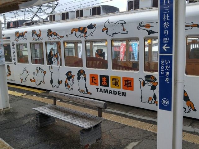 ܓdԁBʐ^BĂ񂢂܂B_a̎Rdc