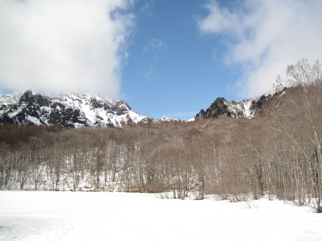 juñTf[vjOEAEghAXN[̓eʐ^4