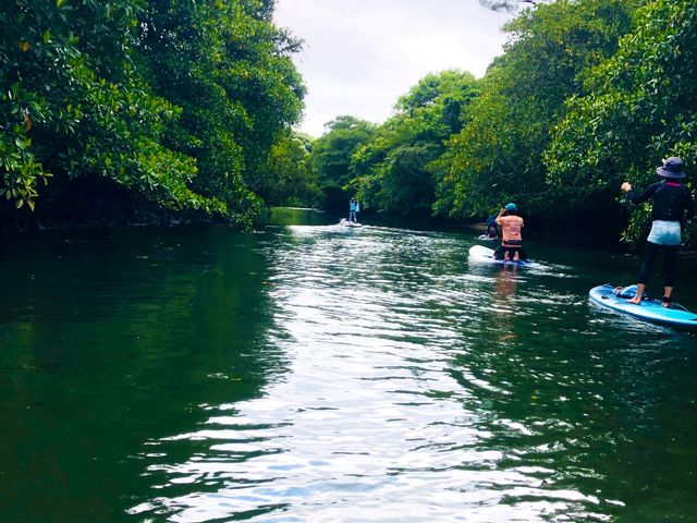 ���T�b�v_���\���c�A�[NGAF