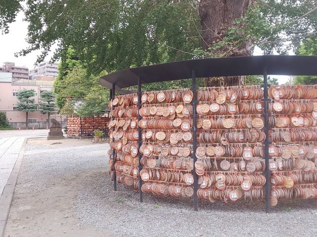 ��R�̊ۂ��G�n_���ː_��