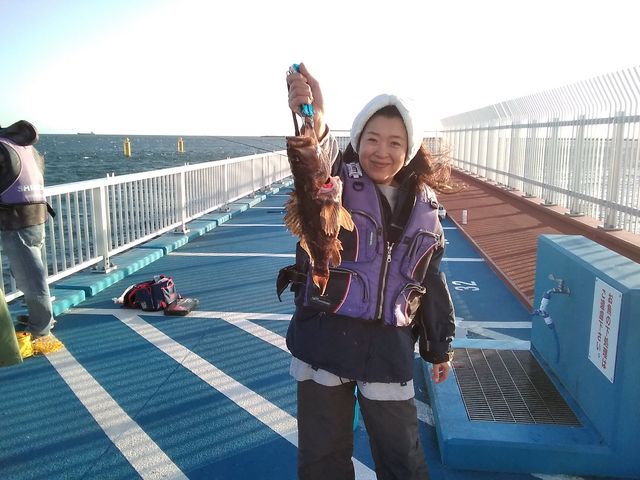 �\�C�����܂��B�������މʂɃj�b�R���ق�����B_�V�n���@�C�ނ����