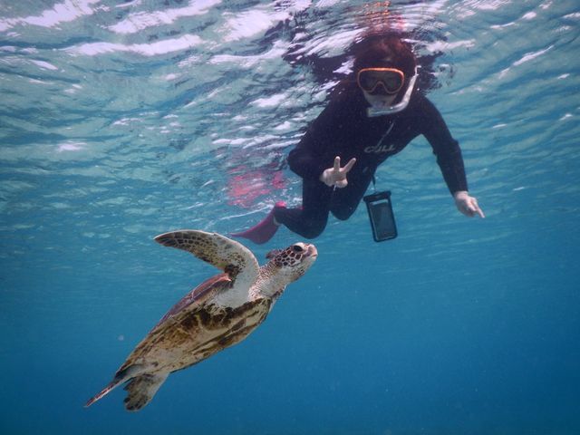 �E�~�K�������(^^)_SEA ENJOY