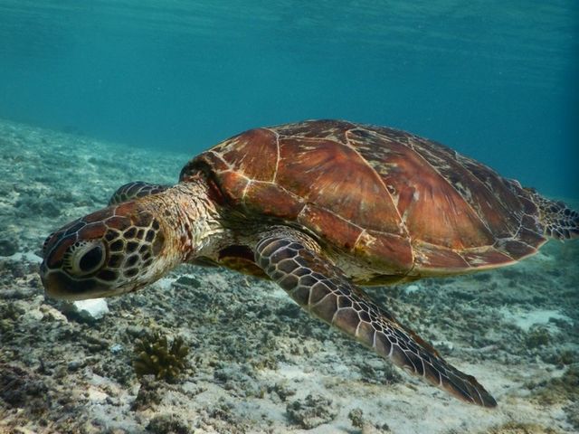 ����(*^��^*)_SEA ENJOY