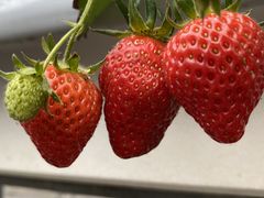 ݂ق̉ʎ̗@c_ւ̓eʐ^1