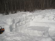 juñTf[vjOEAEghAXN[̓eʐ^1