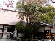 ǁ[̍{ṼMNZC̓eʐ^1