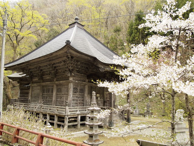 �U�肬��̍��̎����ɍs���܂����B���������������ł��B_�Փ��@