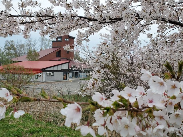 �j�b�J�E���X�L�[�]�s������