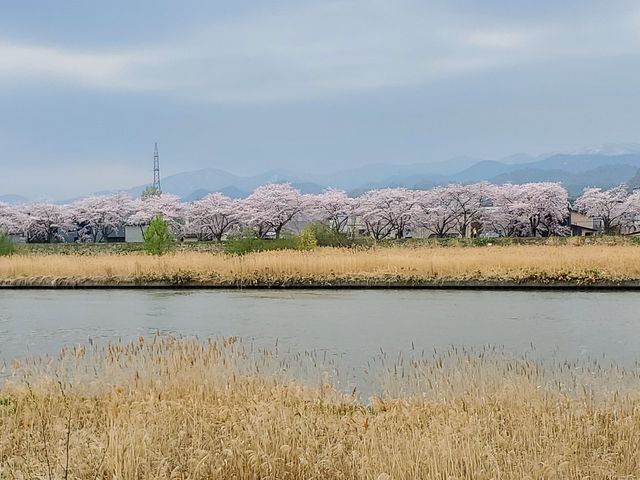 �j�b�J�E���X�L�[�]�s������