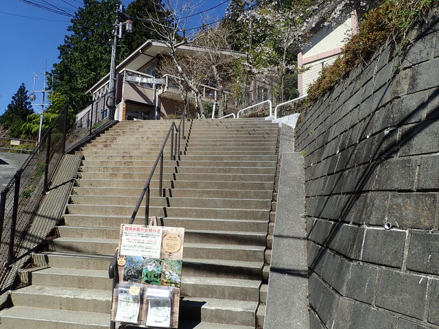 ��x�r�W�^�[�Z���^�[