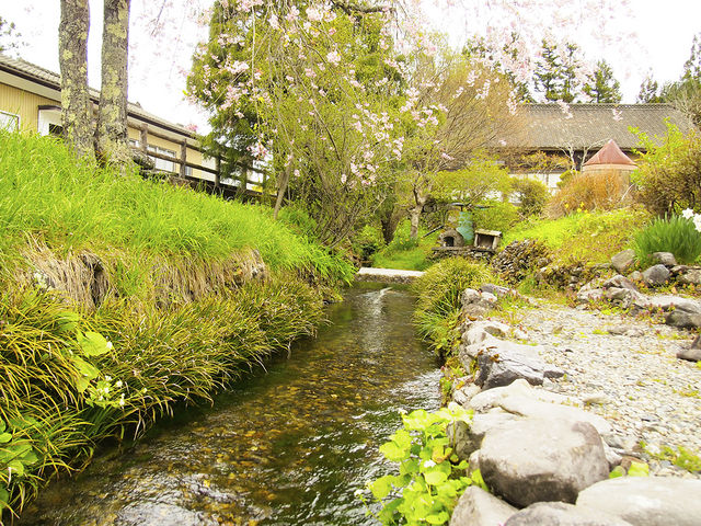 �����̃O���[�����ƂĂ��������B�����Ȑ�������Ă���؋��ł��ˁB_�����̗N��