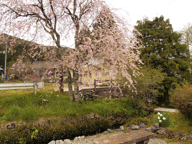 �߂��̂����܉�����B�e�������ł��B_�����̗N��